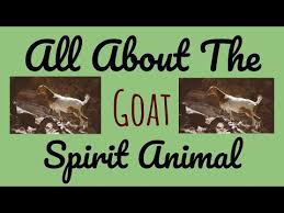 — the greatest (gymnast) of all time. Goat Symbolism Meaning Totem Spirit Omens World Birds