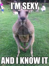 This Kangaroo Works Out Kangaroo Meme Funny At Lone Pine Koala Sanctuary Brisbane Funny Koala Funny Animal Pictures Animals