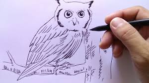 Burung hewan alam bulu margasatwa 2446 gambar gambar gratis dari burung hantu. Lukisan Burung Hantu Simple Cikimm Com