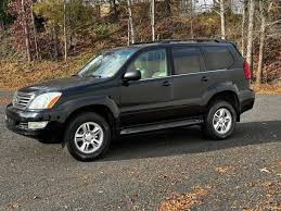 Image result for Gray 2006 GX