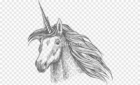 Gambar ini punya kualitas yang bagus. Horse Unicorn Sketch Unicorn Head Legendary Creature Animals Png Pngegg