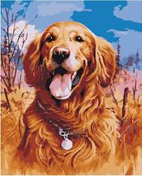 They should be brushed daily and will probably need a bath about once a month. Looking For Golden Retriever Gifts Check Out Our Top 14 Picks