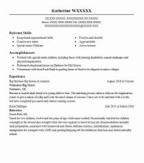 big sister resume example big brothers