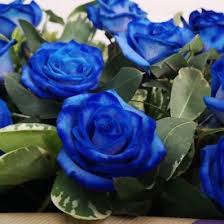 Get inspired with our handpicked collection of flower pictures hd to 4k quality available for commercial use download now for free! The Flower Of Love Blue