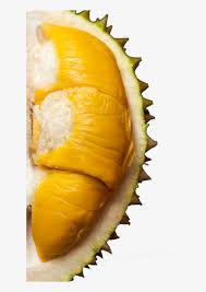 We did not find results for: Image Durian Png Image Transparent Png Free Download On Seekpng