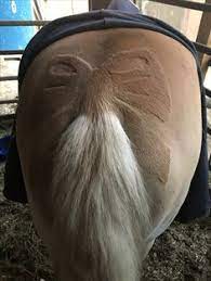 We did not find results for: 8 Schermotive Ideen Pferd Scheren Scheren Pferde Frisuren