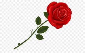 Lancaster Tea Red Rose Pizzeria Roses Transparent Png With Png Flower Backgrounds Rose Flower Png Rose Clipart
