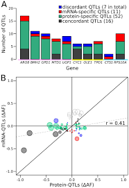 May 06, 2021 · university of massachusetts amherst. Simultaneous Quantification Of Mrna And Protein In Single Cells Reveals Post Transcriptional Effects Of Genetic Variation Elife