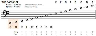 You normally play these notes with your left hand. Playing Bass Learn To Read Bass Notes The Bass Clef Bass Clef Notes Learning Bass Learn Piano Notes