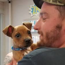 Starving. Broken. Suffering.