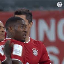 Alle aktuellen news zu robert lewandowski sowie bilder, videos und infos zum spieler des fc bayern und kapitän der polnischen nationalmannschaft. Robert Lewandowski Celebration Gif By Fc Bayern Munich Find Share On Giphy