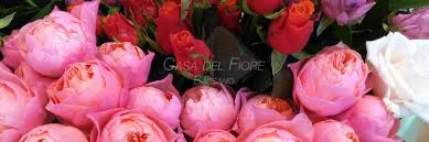 Lidl riva fiori domani / funktions rucksack 10 l von. Casa Del Fiore Bassano Casa Del Fiore Bassano Di Gastaldello Michele