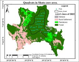 Image result for Erythrococca trichogyne