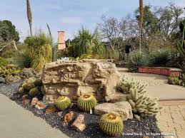 The desert botanical garden also hosts numerous events, including culinary demonstrations and outdoor concert series. Botanical Garden Janet Davis Explores Colour