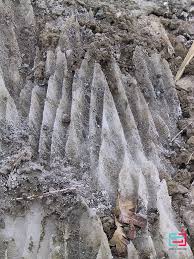 Conopide şi draperii de sare: Canionul De Sare Praid Valori Harghitene