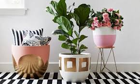 La siembra y el trasplante de estas plantas suculentas en los terrarios de cactus comienzan en la primavera, a los. Plantas De Interior En Decoracion Tipos Y Consejos Para Casa