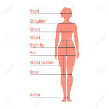 Woman Size Chart Human Front Side Silhouette Isolated On White
