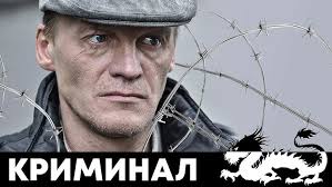 Police major igor grom is known throughout st. Mcrtfesk5qptvm