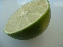 Once seedlings have reached about 6 inches tall, they can be gently lifted and placed in individual pots. How To Grow Lime Trees From Seed Hunker Lime Tree Key Lime Tree Potted Trees