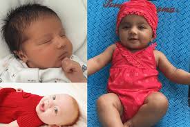 Firewood's 2016 Year in Review