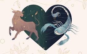 When it comes to sexuality, there is no sign that is more sensual than a taurus or more passionate than a scorpio. Taurus And Scorpio Compatibility In Love Dating And Relationships