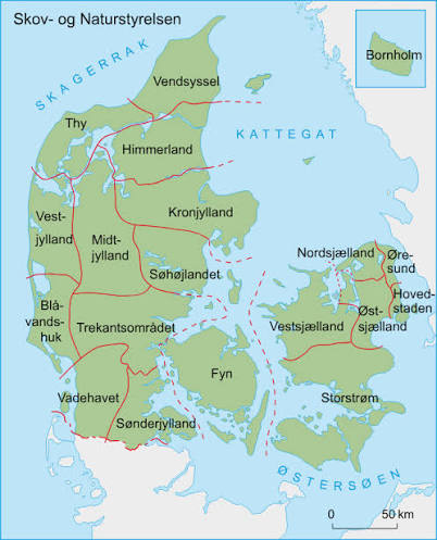 statsskov – Lex