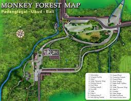 Ubud Monkey Forest Sacred Monkey Forest Sanctuary Ubud Monkey Forest Forest Map