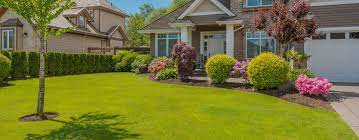 Our lawn care services offer you a window to great lawn care and affordable prices. Lawn Care Landscaping Services The Grounds Guys