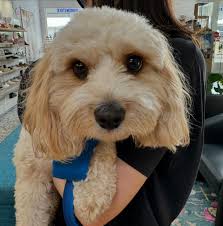 My Shop Girl feet are just loving the...