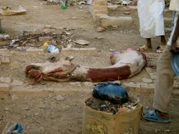 And there are people who i have met and just wondered why they. Witnessing A Camel Sacrifice In A Mosque In Khartoum Sudan