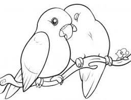 Pin By Maria Lopez On Drawing Bird Drawings Love Birds Drawing Cartoon Birds ✓ free for commercial use ✓ high quality images. love birds drawing