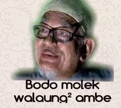 Iklan lawak yang membuatkan anda ketawa. Ayat Lawak Bodoh