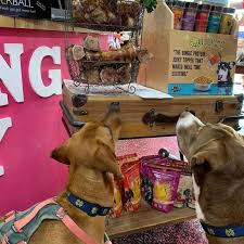 The premier dog and cat groomer in sarasota. Woof Gang Bakery Grooming Lakewood Ranch 136 Recommendations Lakewood Ranch Fl