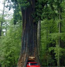 غسان الدفاعي غـــ م ـــض عـــنـــيـــكــ وأحـــلـــم م ـــع ــايـــا دليل الصفحات