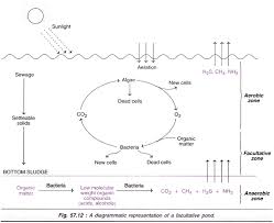 Processes Of Waste Water Treatment 4 Process With Diagram