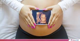 Schwangerschafts update 1 28 amp 29 ssw 4d ultraschall beschwerden schwangerschaftsdummheit. 3d Ultraschall Kosten Risiken Und Der Richtige Zeitpunkt Babyartikel De