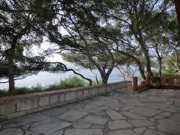 Bienvenu sur la boutique en ligne de l'eau de cassis, parfumeur créateur depuis 1851. Biens A Vendre Villa Cassis 13260 Prix 3 725 000 Agence Immobiliere Marseille Appartement Et Maison