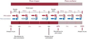 Maybe you would like to learn more about one of these? Analyse Quantifiee De La Marche Mode D Emploi