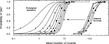 Stimulus Intensity An Overview Sciencedirect Topics