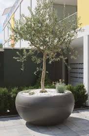 If you're going for a more contemporary look, a taller pot can be a good fit. Aladin Oversized Extra Large Round Outdoor Planter Large Outdoor Planters Large Garden Pots Huge Planters