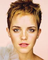 Another reason short pixie haircuts are loved is due to the fact they're practical and take less time to style. 101 Best Pixie Cuts 2014 2015 Pixie Cut Haircut For 2019