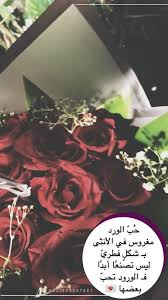 همسة ح ب الورد مغروس في الأنثى بـ شكل فطري ليس تصنع ا أبد ا فـ الورود تحب بعضها ت Pink Wallpaper Iphone Pink Wallpaper Iphone Wallpaper