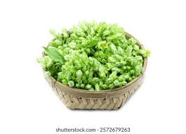 Image result for Telosma