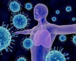 211 free images of immune system. Does A Strong Immune System Ward Off Colds And Flu The New York Times