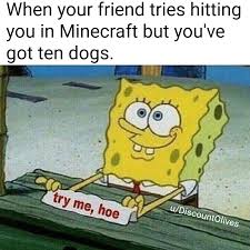 Try Me Hoe Bikinibottomtwitter