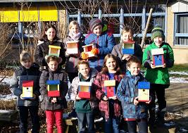 Welche vögel kann man zusammen in einer voliere halten? Ein Vogel Wollte Hochzeit Halten Grundschule Obere Grafschaft