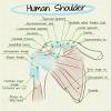 If you have a rotator cuff tear and you keep using it despite increasing pain, you may cause further damage. 3