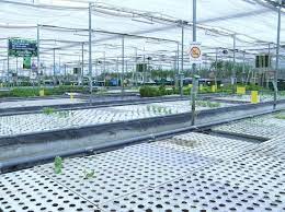 Aquaponics Farming Gaining Ground But Limited By Costs Product Range Business Standard News