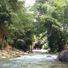 Make fast and free reservations for ērya by suria janda baik at the best prices. River Stream Near Hotel Picture Of Eryabysuria Janda Baik Tripadvisor