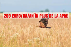 Schema de plată unică pe suprafață. SubvenÈ›ii Apia 2019 De La 90 De Euro La 269 Euro In Plus Pe Hectar Agroinfo Ro